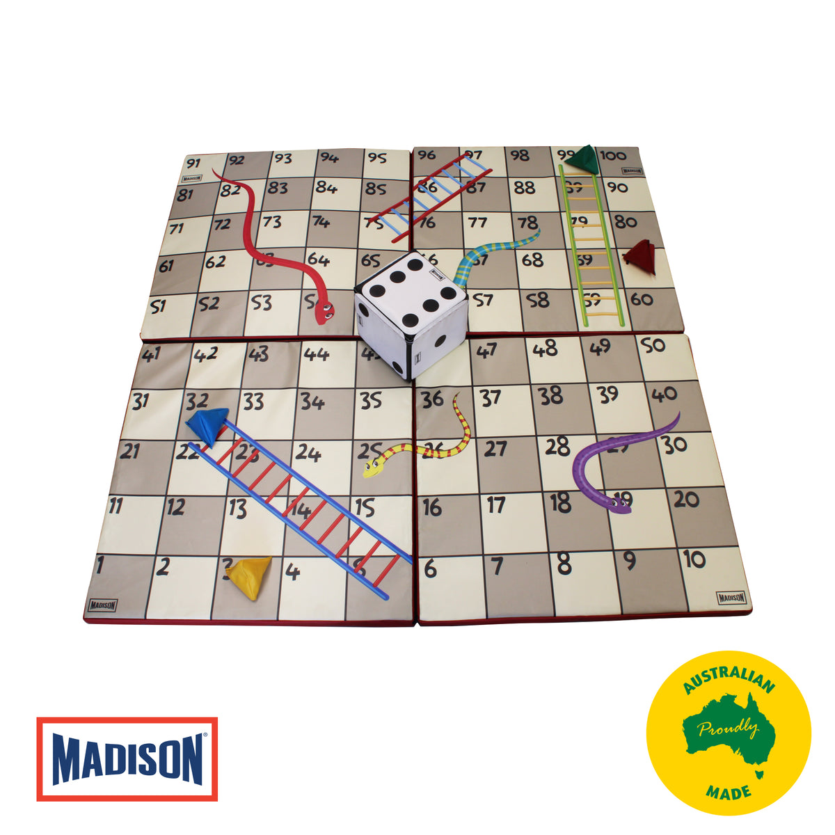 Giant Snakes & Ladders Kit